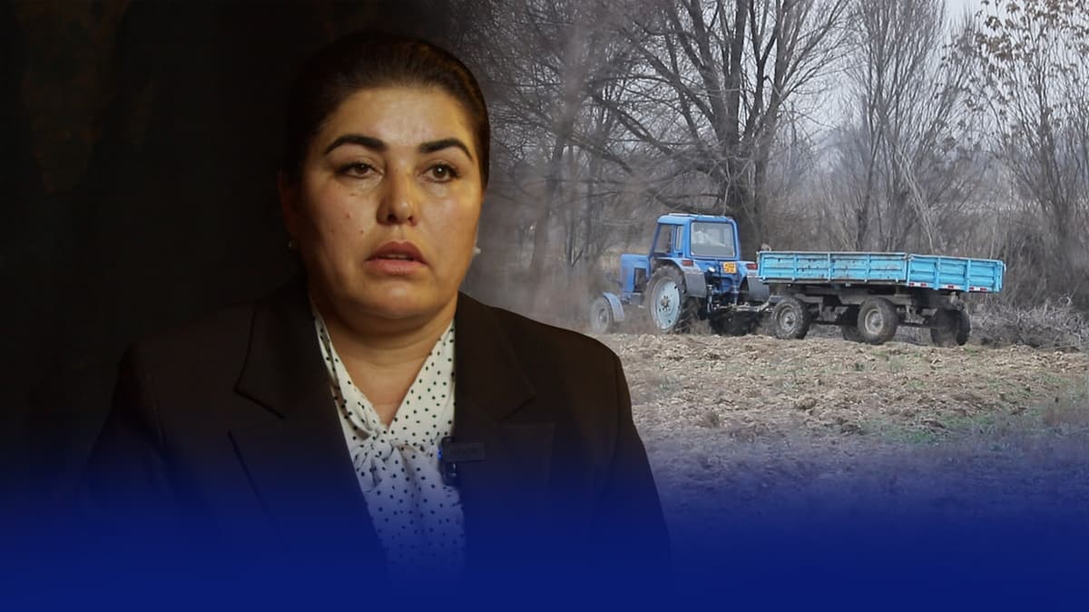 “Hokimiyat suv bermasdan, endi yerimni olib qo‘ymoqchi” - karmanalik fermer