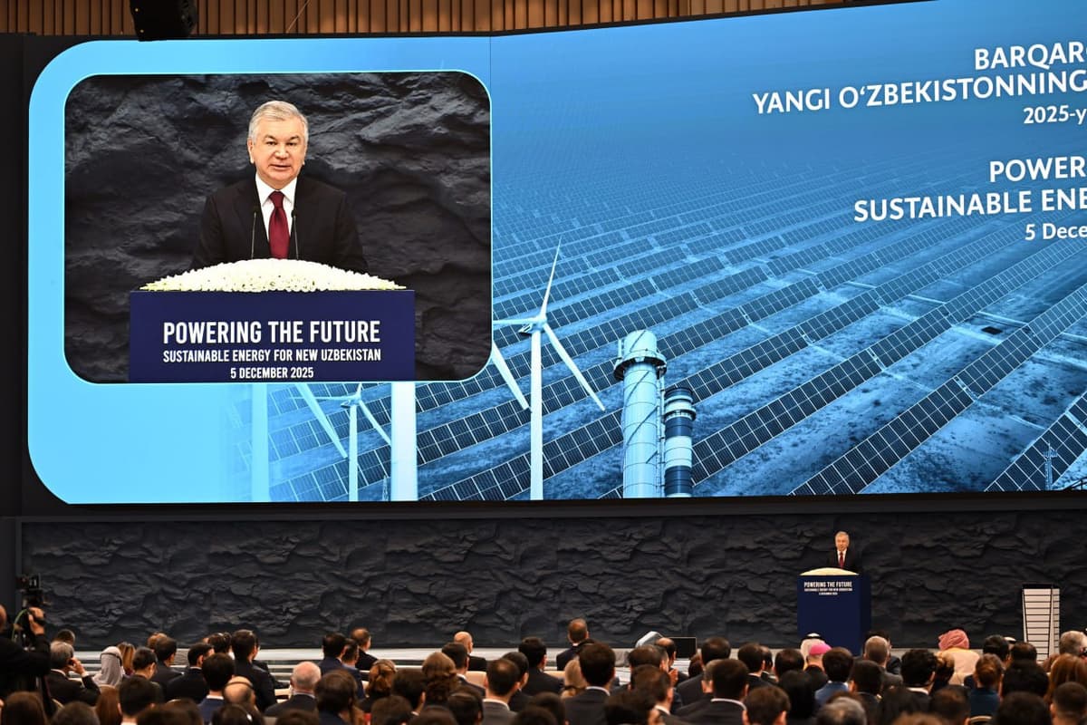 Samarqand elektr tarmoqlari Turkiya kompaniyasiga operatsion boshqaruvga beriladi