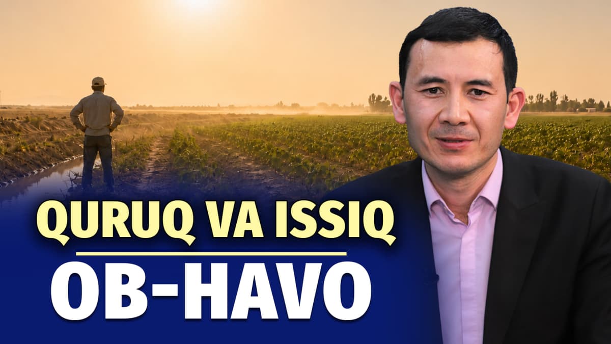 Qurg‘oqchil havo: jazirama hafta fermerlar uchun qanday xavflar tug‘diradi?