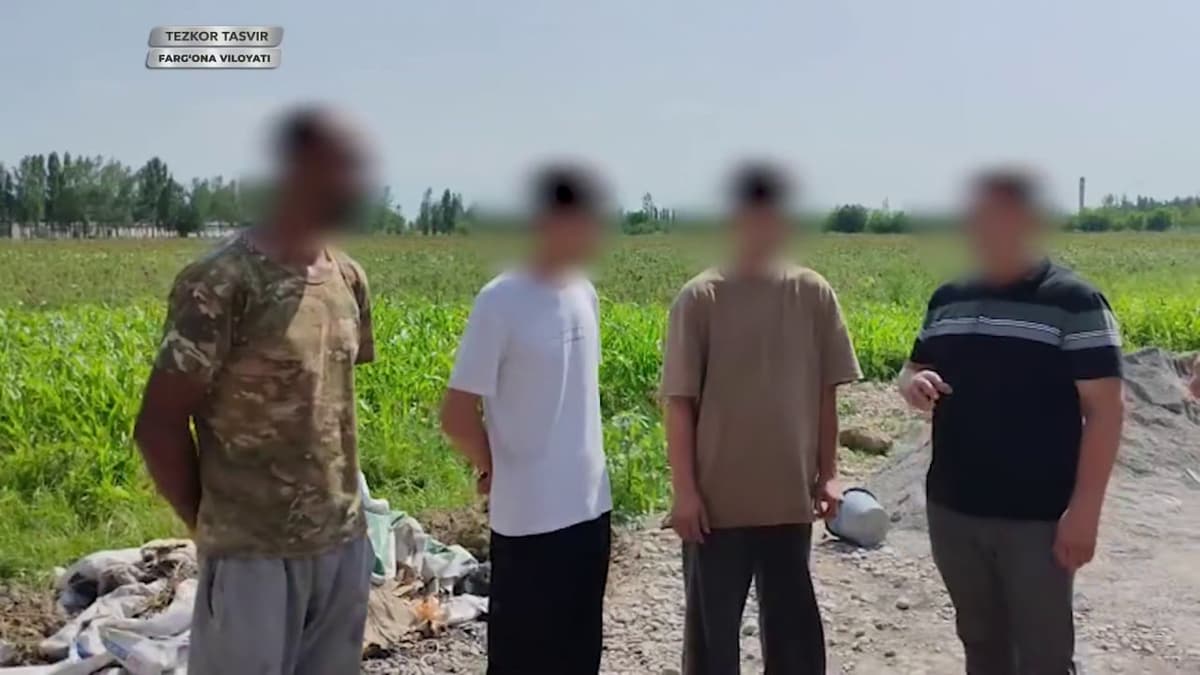 Farg‘onada qariyb 6 kg «gashish» musodara qilindi