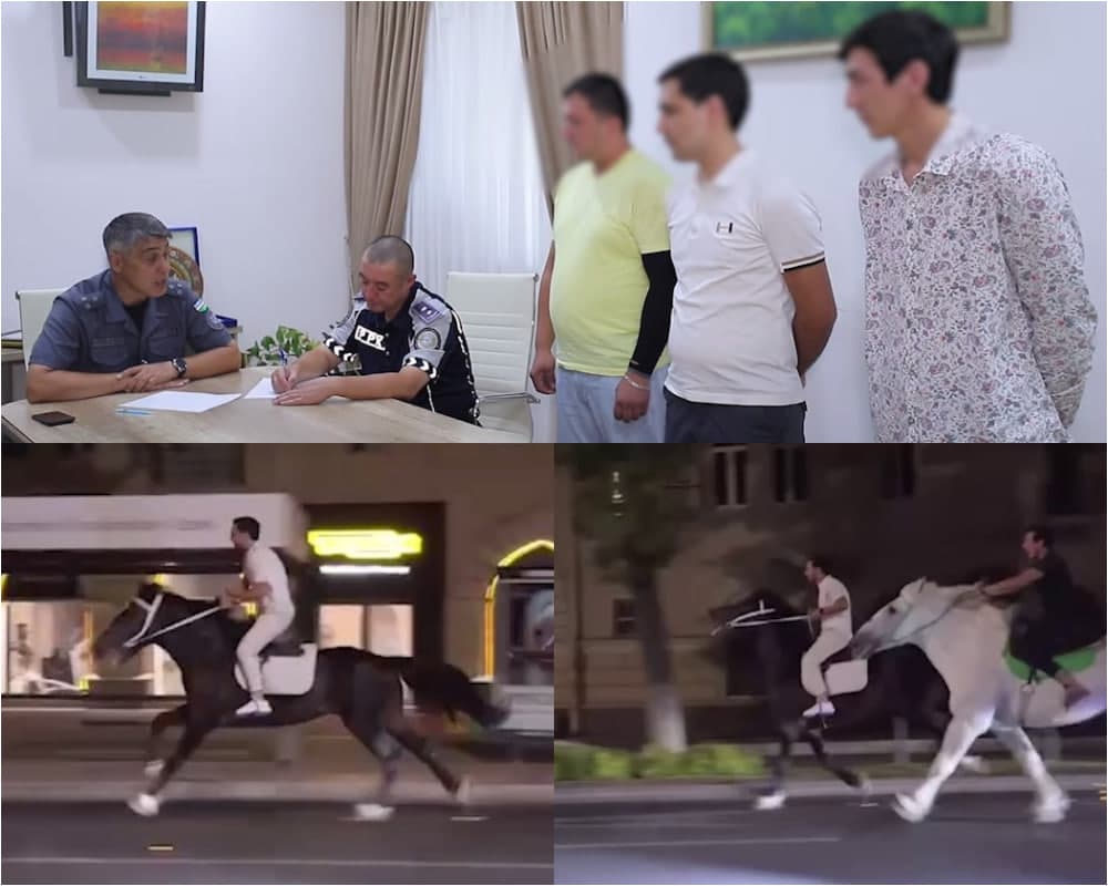 Toshkent markazida ot choptirgan uch nafar shaxs IIBga chaqirildi