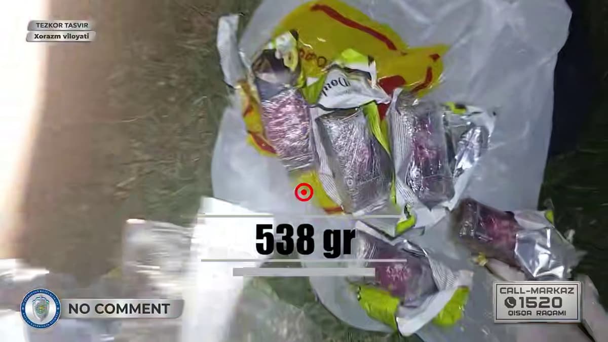 Rossiyadan yuborilgan posilkadagi gashish fosh etildi