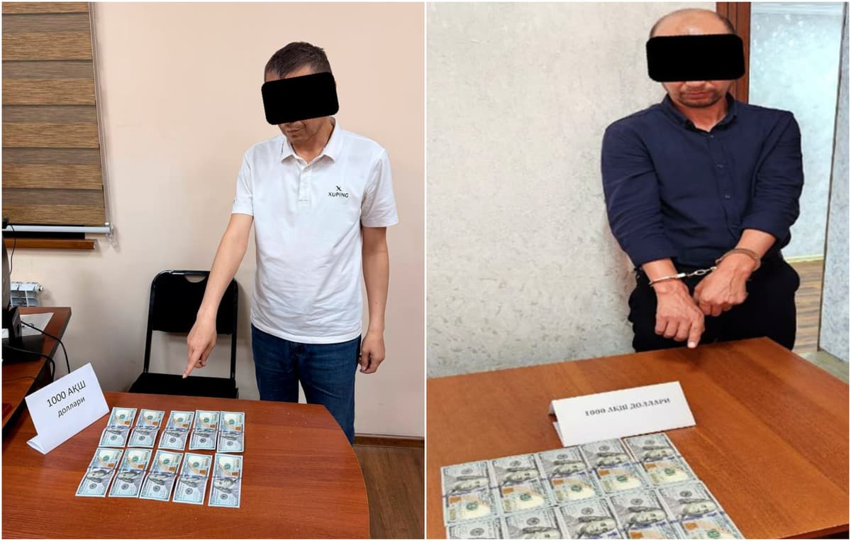 Zangiotada soliqchi, Buvaydada muhandis pora bilan ushlandi