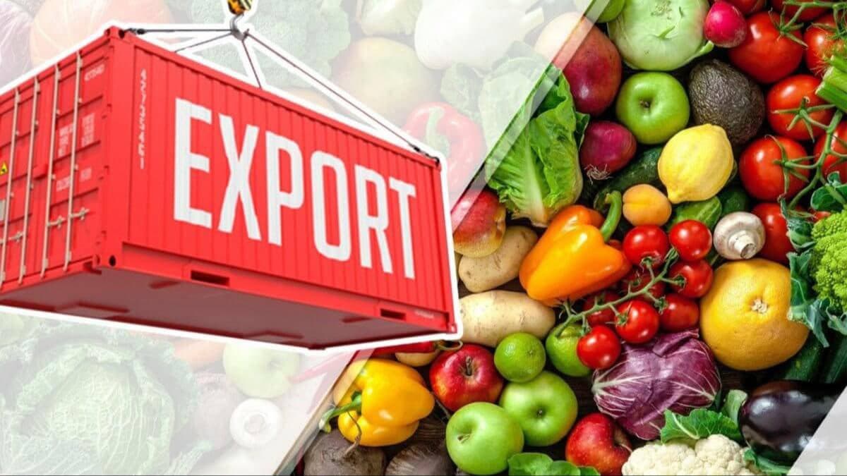 Meva-sabzavot eksporti uchun yangi tartib joriy etildi