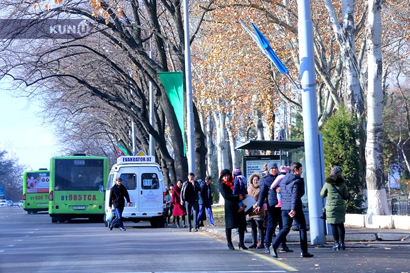 Toshkentda 63-avtobus haydovchisi tushgan pullarni egallab olish maqsadida IIBga yolg‘on xabar berdi