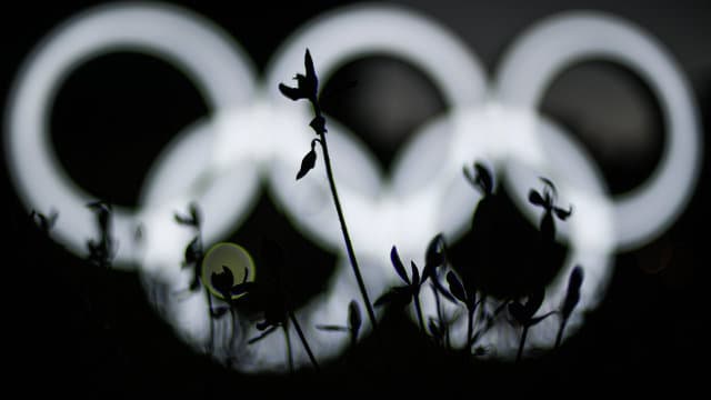 Pyongchangdagi media-qishloqda koreyalik jurnalist jonsiz holda topildi