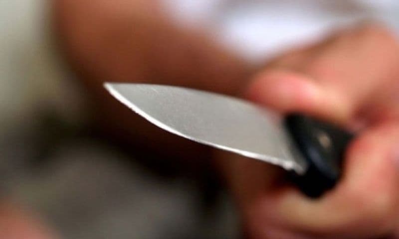 Ovsinlar o‘rtasidagi janjal o‘lim bilan yakun topdi