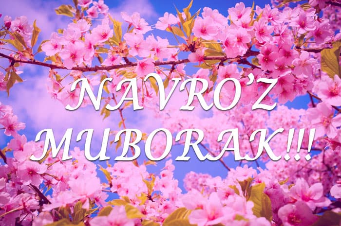 «SFI Management Group» MChJ XKning Navro‘z bayrami munosabati bilan tabrigi