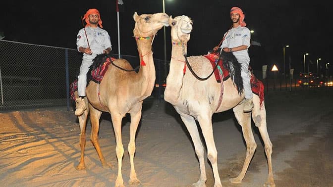 Abu-Dabida tuya mingan politsiyachilar paydo bo‘ladi