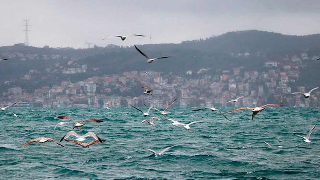 Turkiya Bosfor ko‘rfazini yopib qo‘ydi