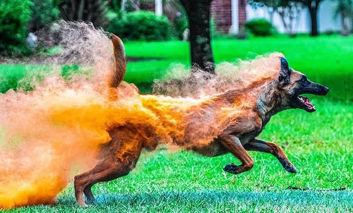 20 поразительных фото, на которых нет фотошопа