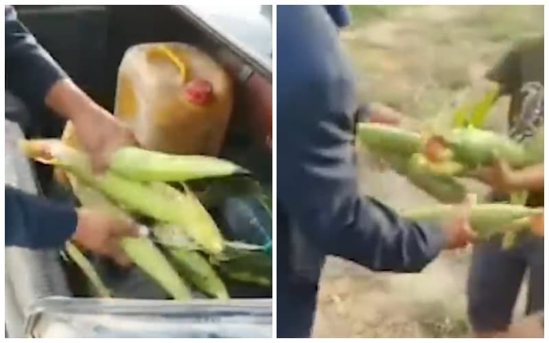 Prokuratura Mirishkor hokimining «o‘g‘ri bobo»ni haqorat qilgani yuzasidan tekshiruv boshladi