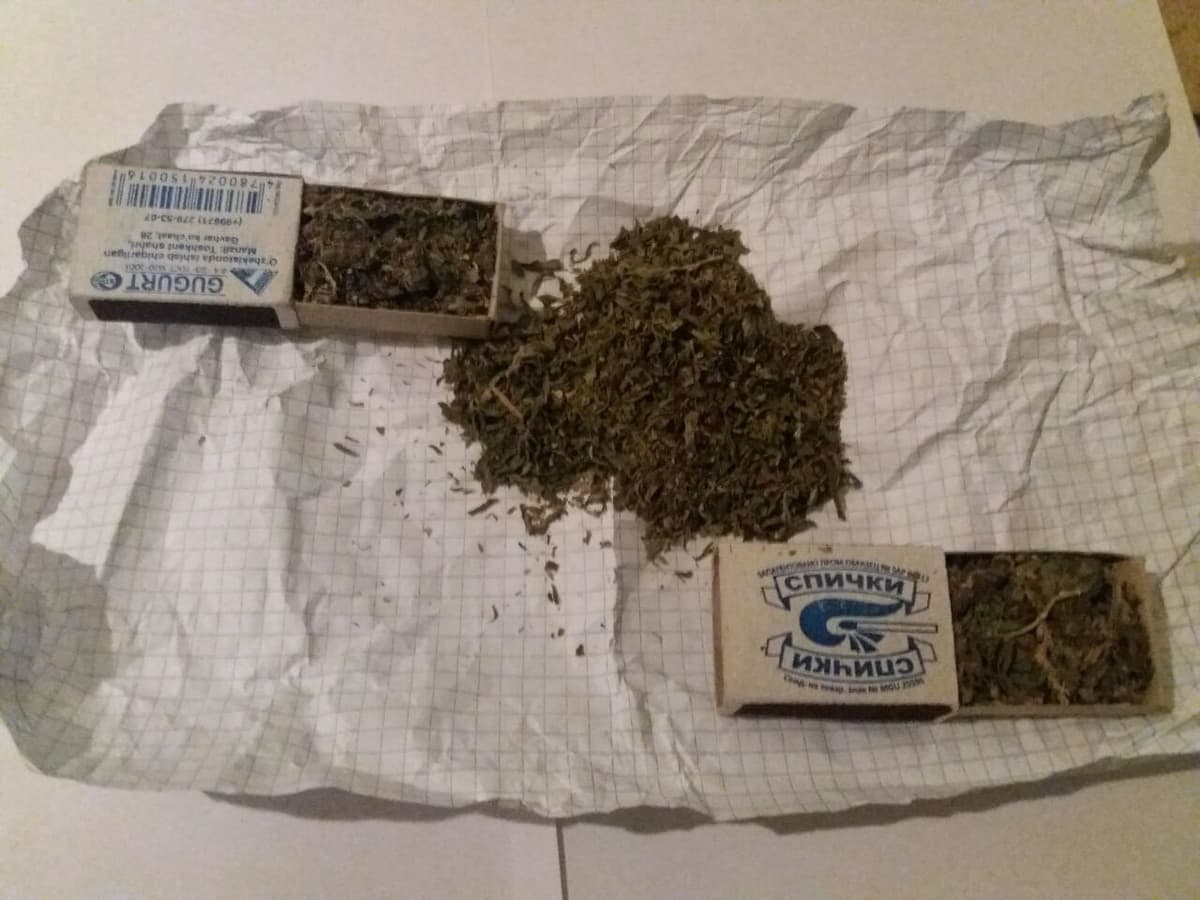 Qimorxonadagi marixuana oldi-sotdisi fosh qilindi