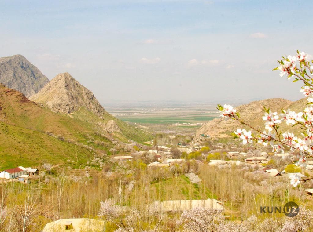 Fotojamlanma: Xo‘jaobodda bahor tasvirlari