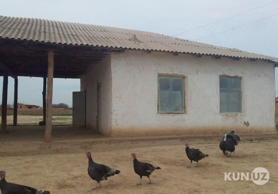 G‘uzordagi shiypon-maktab mashmashasi. Direktor nega ikki xil gapirdi?