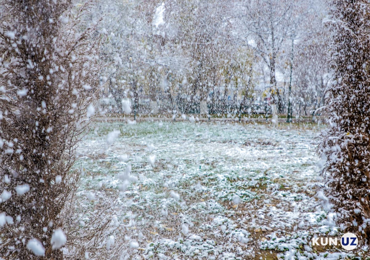Toshkentda yog‘gan birinchi qordan fotogalereya