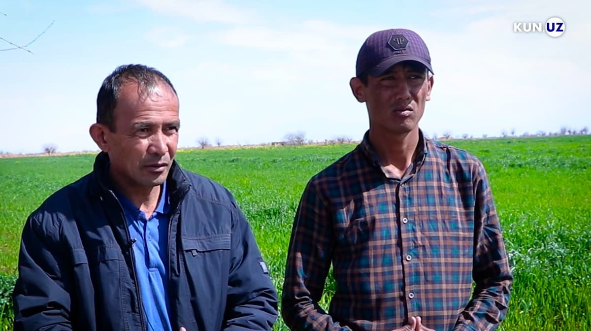 «Biz endi ish so‘rab qayerga boraylik?». Surxondaryoda yeri hokimiyat tomonidan olib qo‘yilayotgan fermer murojaatlari ortmoqda