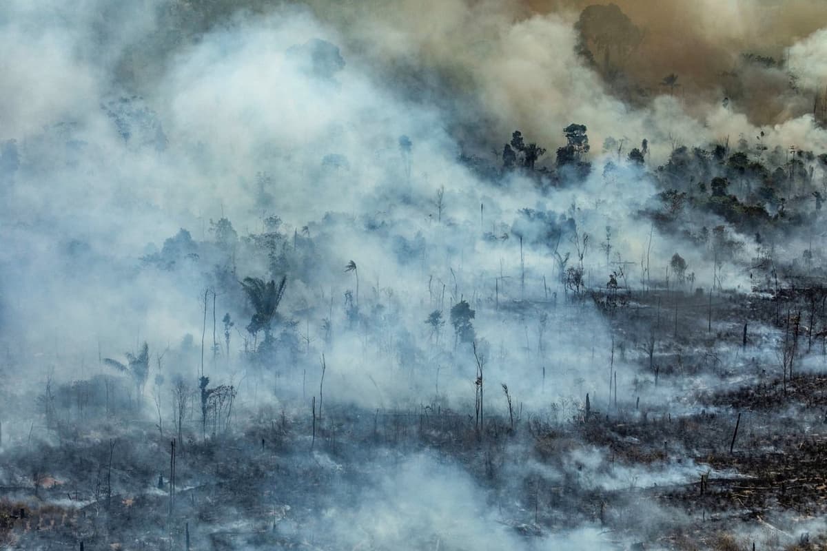 Amazonka o‘rmonlari yonmoqda. Braziliya prezidenti notijorat tashkilotlarini o‘t qo‘yishda, Yevropani esa mustamlakachilikda aybladi