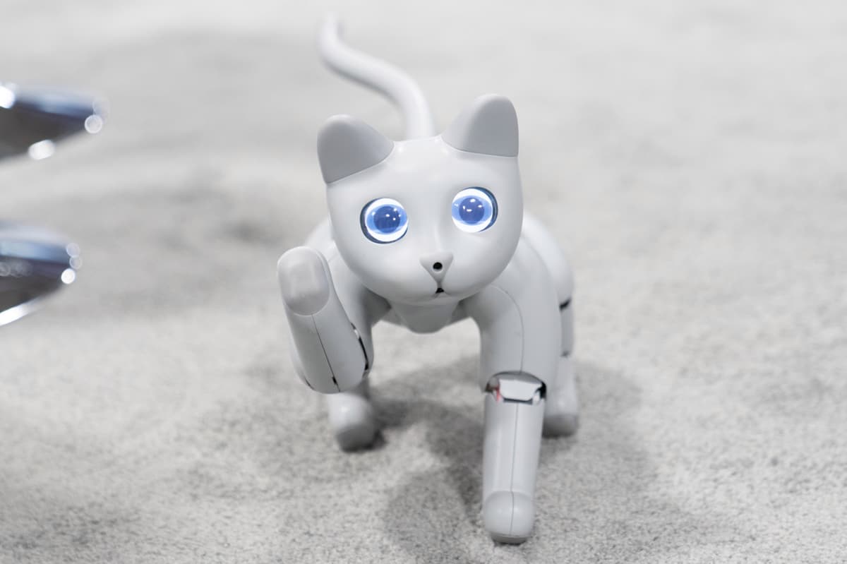 Xitoy kompaniyasi robot mushukni namoyish etdi