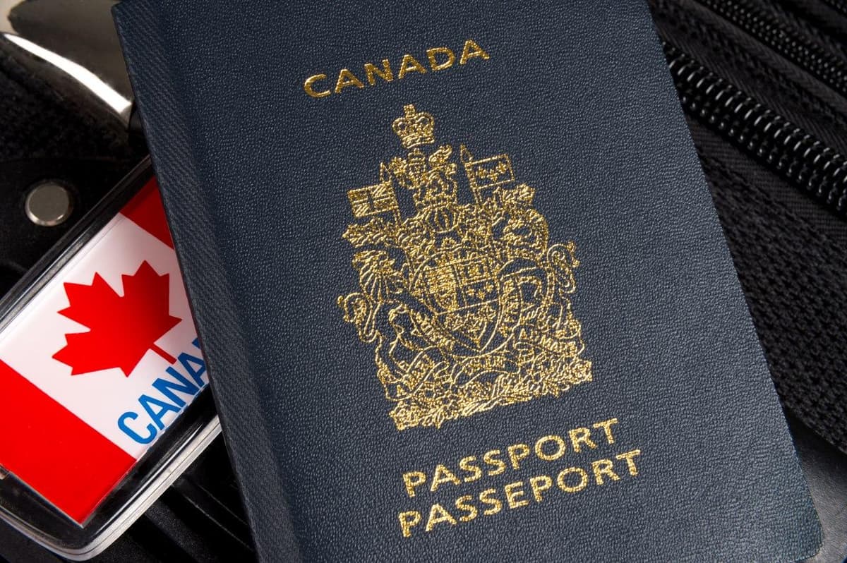 Kanada bozoriga kirish imkoniyatlari, soxta viza va so‘z erkinligi - Torontodagi o‘zbek yuristi bilan suhbat (2-qism)
