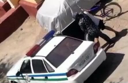 Zarafshonda ichki ishlar organi xodimi fuqaroning qo‘lini qayirib mashinaga tiqayotgani videosi tarqaldi