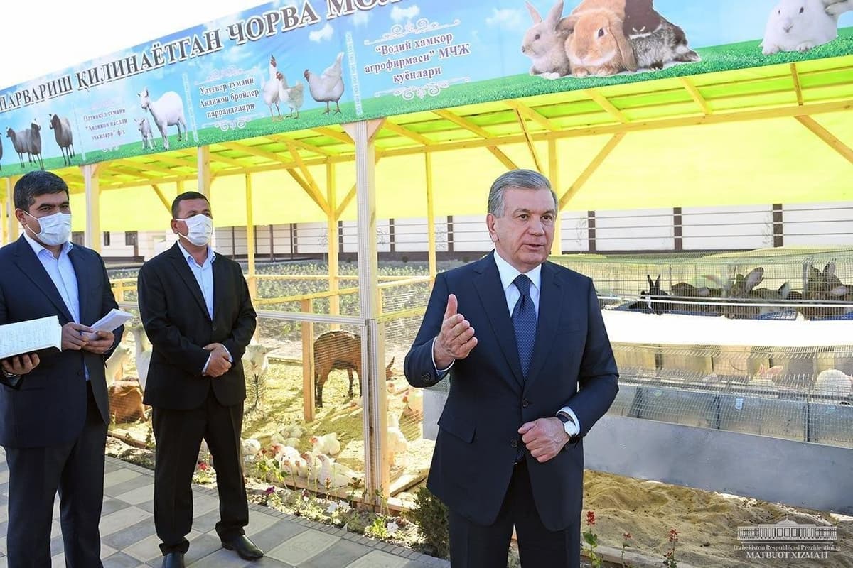 Shavkat Mirziyoyev Marhamat tumaniga bordi