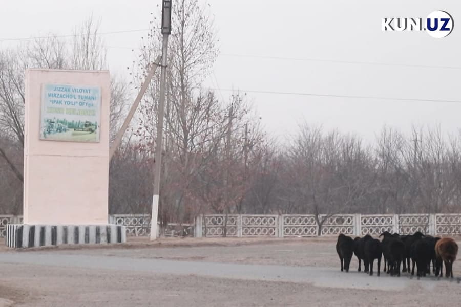Mirzacho‘lda aholi e'tiroziga sabab bo‘lgan ammofos ishlab chiqarish korxonasini ko‘chirish bo‘yicha ko‘rsatma berildi