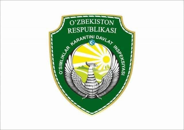 Zararli organizmlar bilan import bo‘lgan 23 ming tup olma ko‘chati yoqib yuborildi