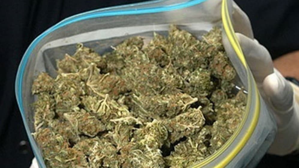 Quyi Chirchiqda qariyb 6 kilogramm marixuana topildi