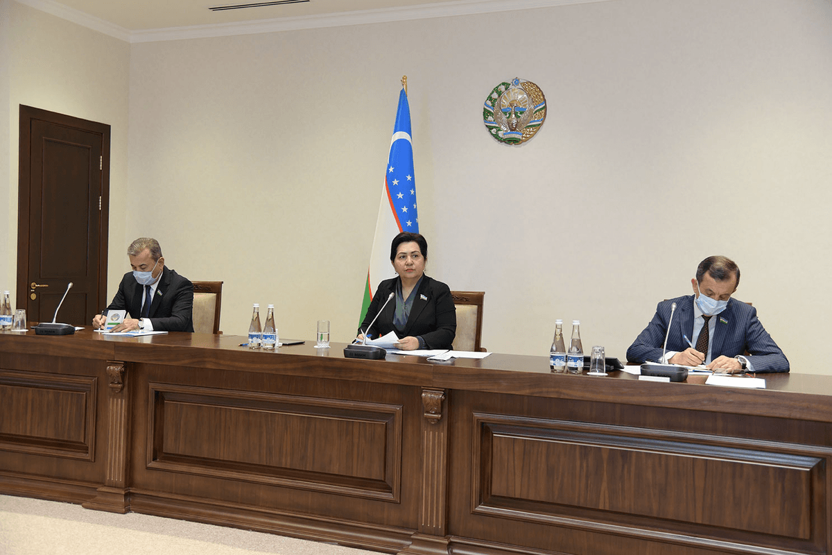 Senat yalpi majlisida 5ta qonun ko‘rib chiqilmoqda