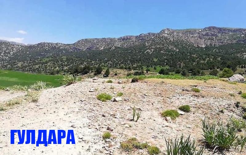 Tugagan auksion qayta davom etadi - avvalgi g‘olib yutishdan umidini uzgan. Bunaqasi birinchi marta bo‘lyapti