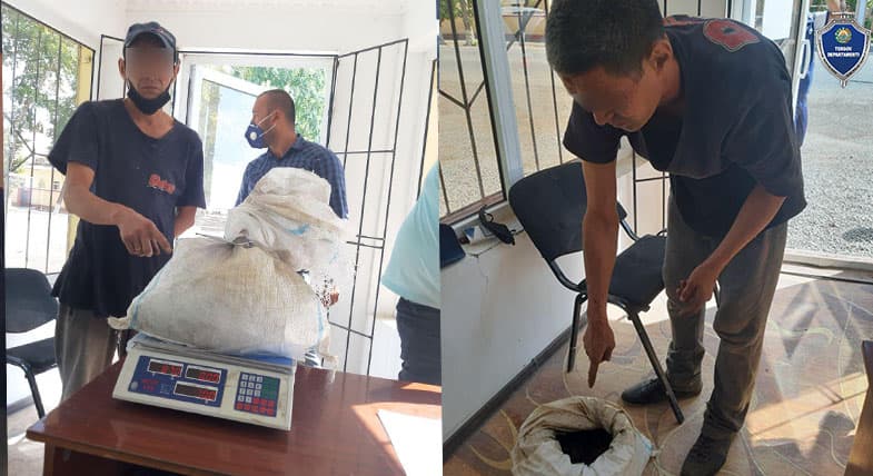Toshkent viloyatida 7 kilogrammdan ortiq giyohvandlik vositasi aniqlandi