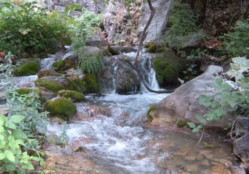 Kitob geologiya bog‘iga yer uchastkasi ajratiladi