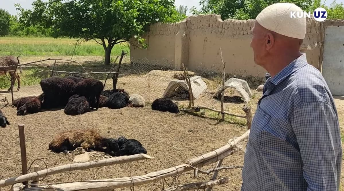 Baxmalning olis qishlog‘ida ham qo‘lga tushmas o‘g‘rilar paydo bo‘lgani aytilmoqda