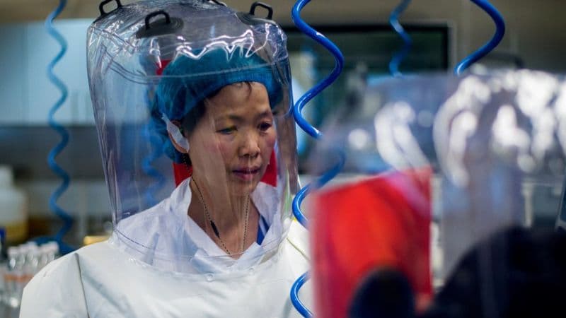 Koronavirus kelib chiqishi haqida hisobot shu oy taqdim etiladi