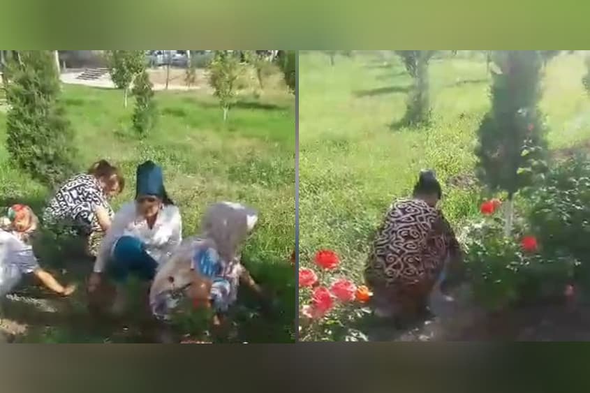 Qashqadaryoda tibbiyot xodimlarini majburiy mehnatga jalb qilgan mutasaddi jazolandi