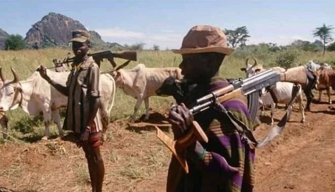 Nigeriyada 50dan ko‘proq kishi chorva o‘g‘rilari hujumlari qurboni bo‘ldi