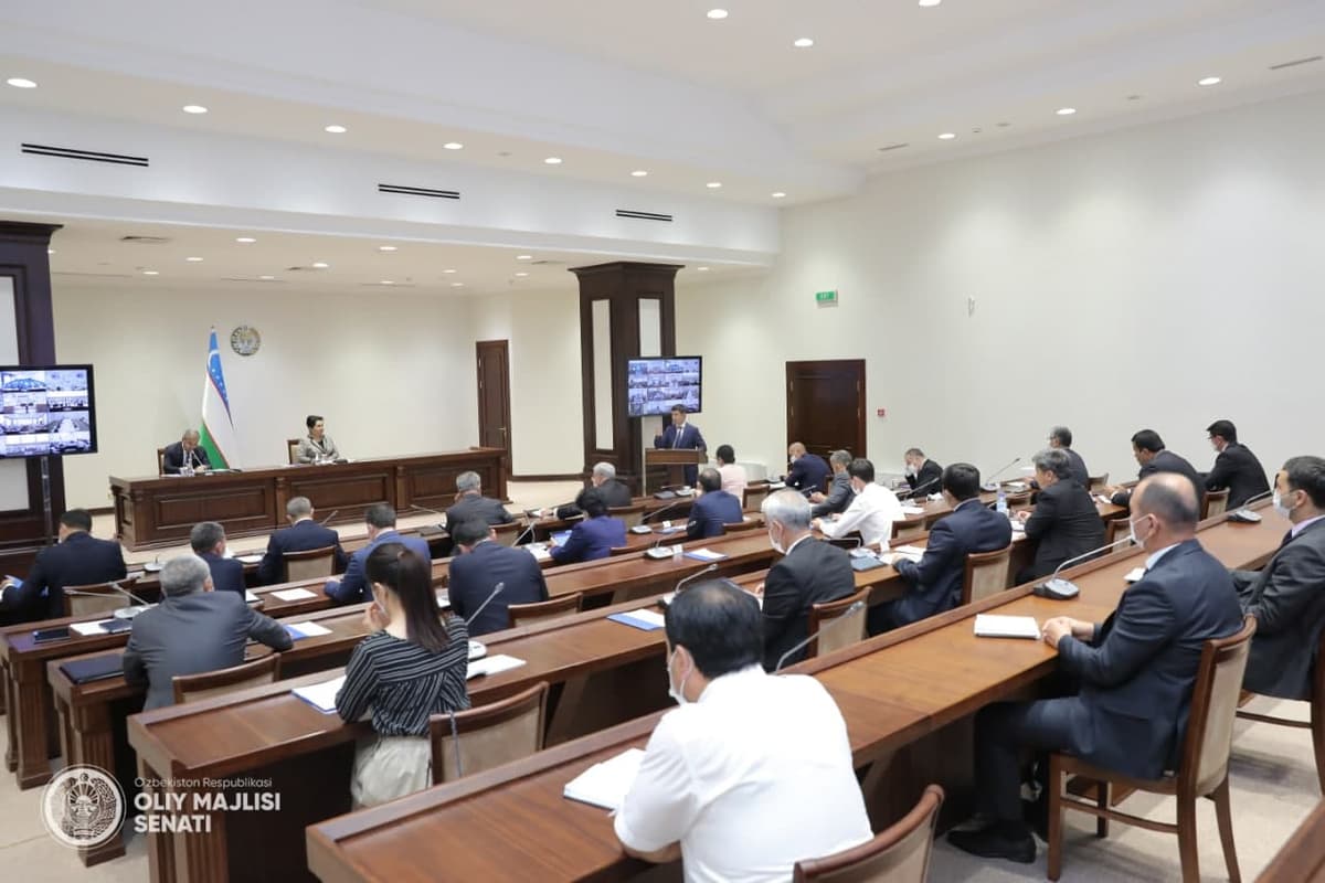 Senat: Yakkabog‘ va Uzun tuman kengashlari fermerlarning yerini olib qo‘yish haqida qonunlarga zid ravishda qaror chiqargan