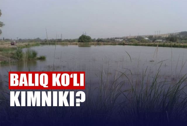 Xorazmda harbiylar tadbirkorning baliq ko‘lini tortib olganmi?