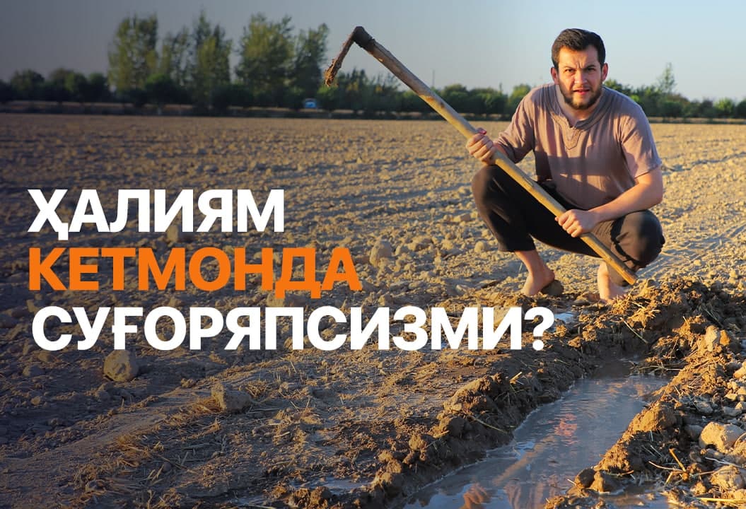 Tomchilab sug‘orish ortidan tonnalab hosildorlik – bu qanchalik haqiqat?