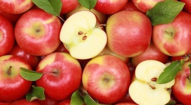 O‘zbekiston olmasi asosan Qozog‘istonga sotilyapti