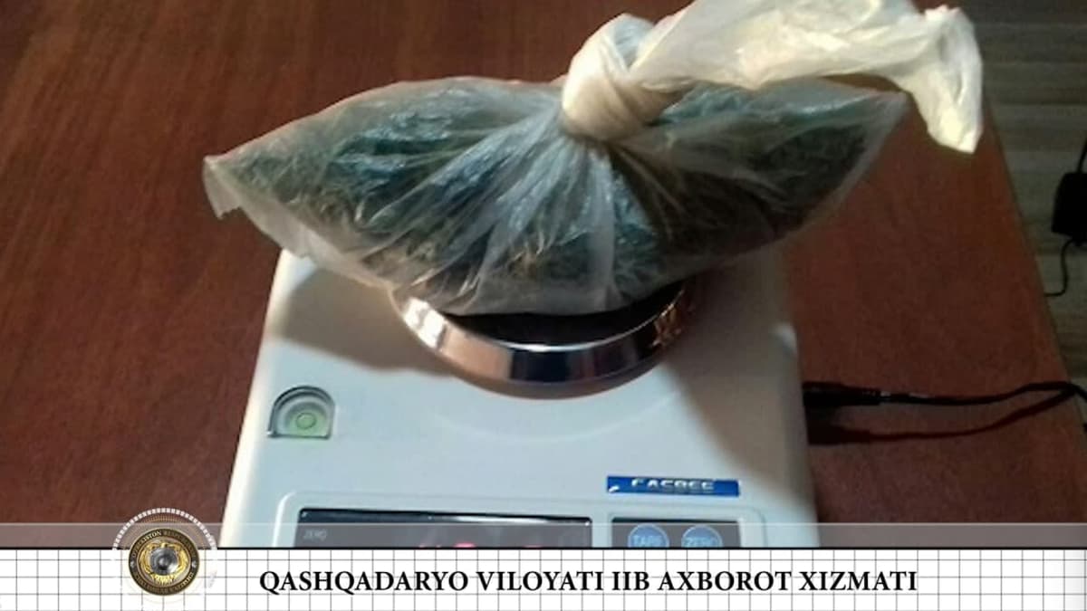 Qashqadaryoda qariyb yarim kilo marixuanani 600 dollarga sotayotgan shaxs ushlandi