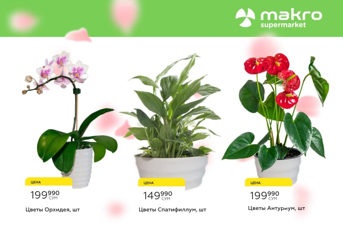 Makro’dan 8-martga maxsus takliflar!