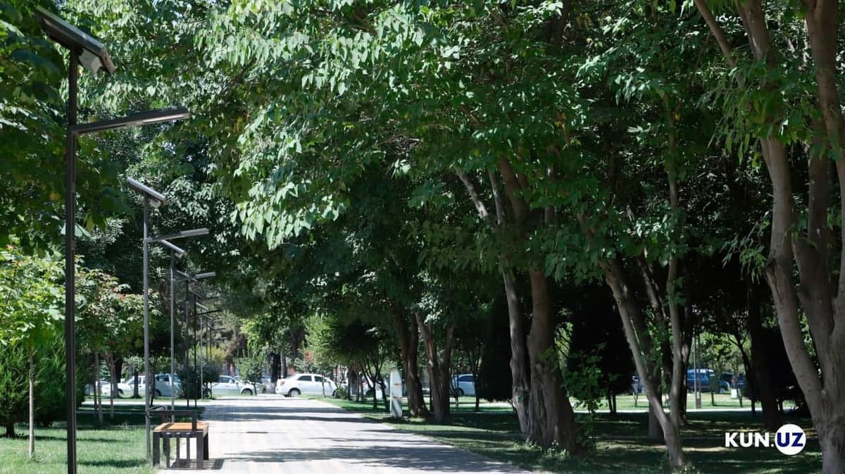 Ikki yil ichida 1082 gektar maydonda yangidan «yashil jamoat parklari» barpo etiladi