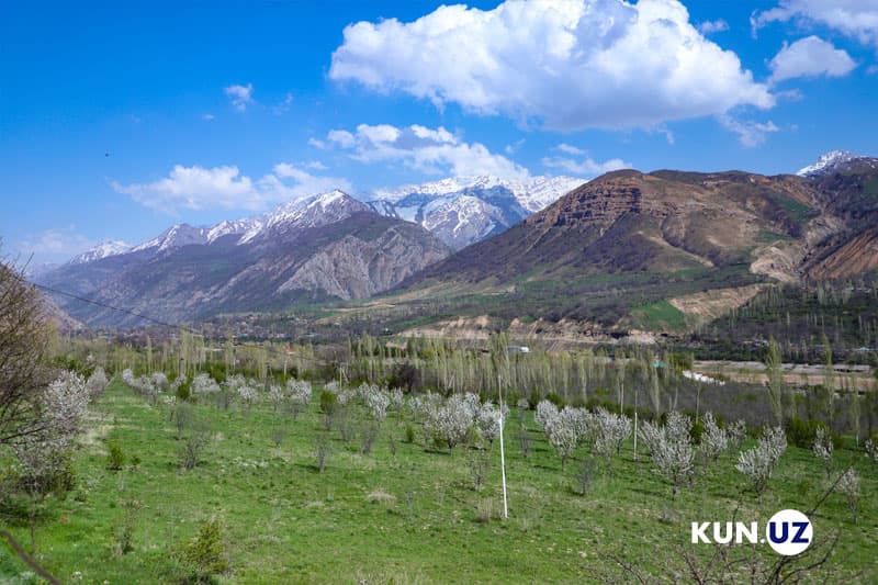 Gidrometeorologiya sohasida yuridik shaxslar faoliyatini tashkil etishga ruxsat beriladi