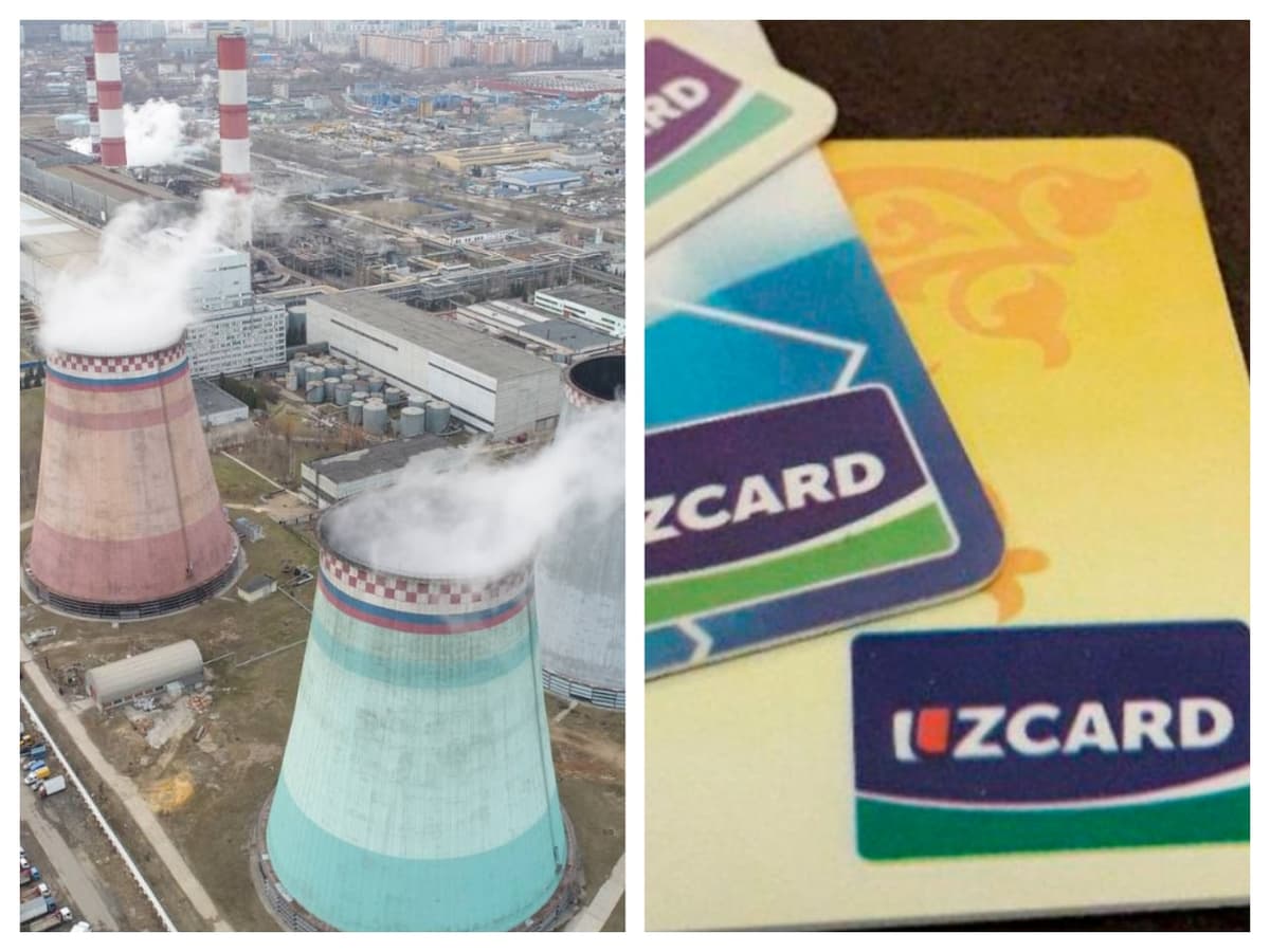 IESlar va Uzcard ham xususiylashtiriladi