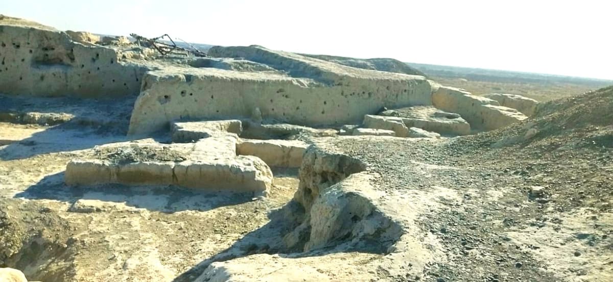 Yana bir arxeologik yodgorlik hududi hokimlik tomonidan yaylov uchun berib yuborilgani ma’lum bo‘ldi