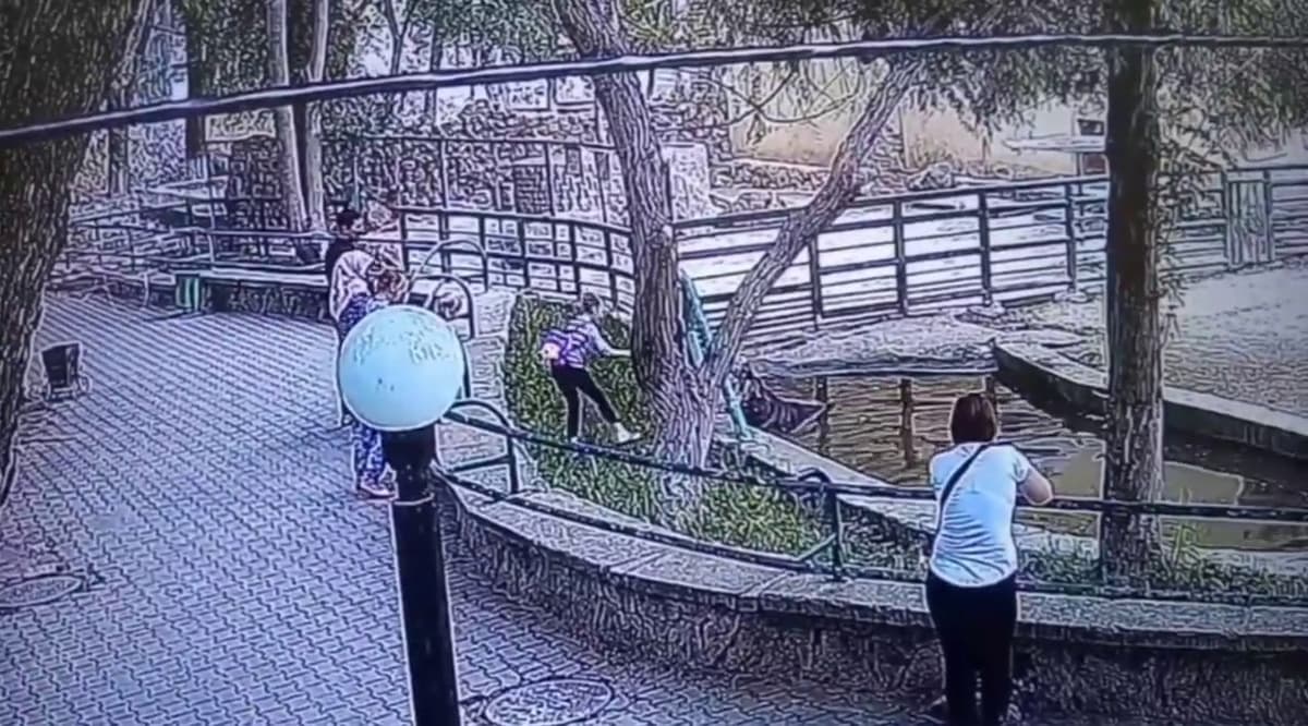Zooparkka kelgan bola begemot qafasiga tushib olib, unga qattiq predmetlarni yedirmoqchi bo‘ldi