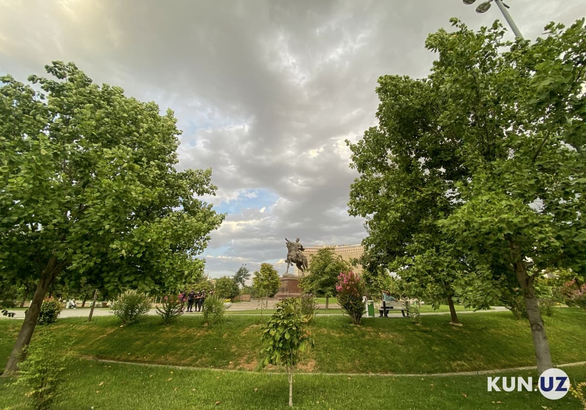 Toshkent shahri yashillik darajasi 27 foiz - O‘zgidromet
