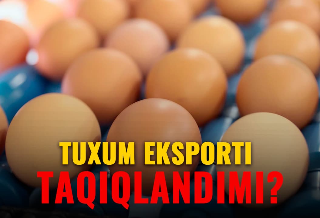 Tuxum eksporti taqiqlangan. Veterinariya qo‘mitasi esa buni inkor etmoqda